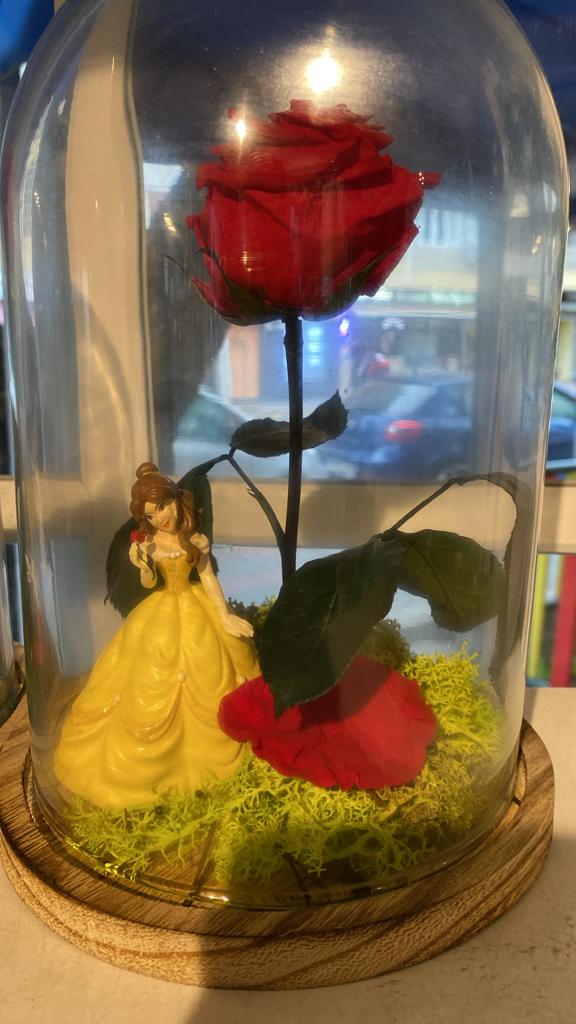 Rosa eterna princesa Bella