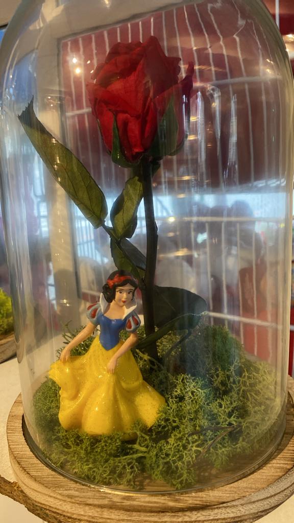 Rosa eterna Blancanieves