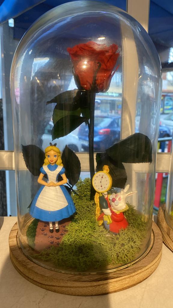 Rosa eterna Alicia y Conejo blanco