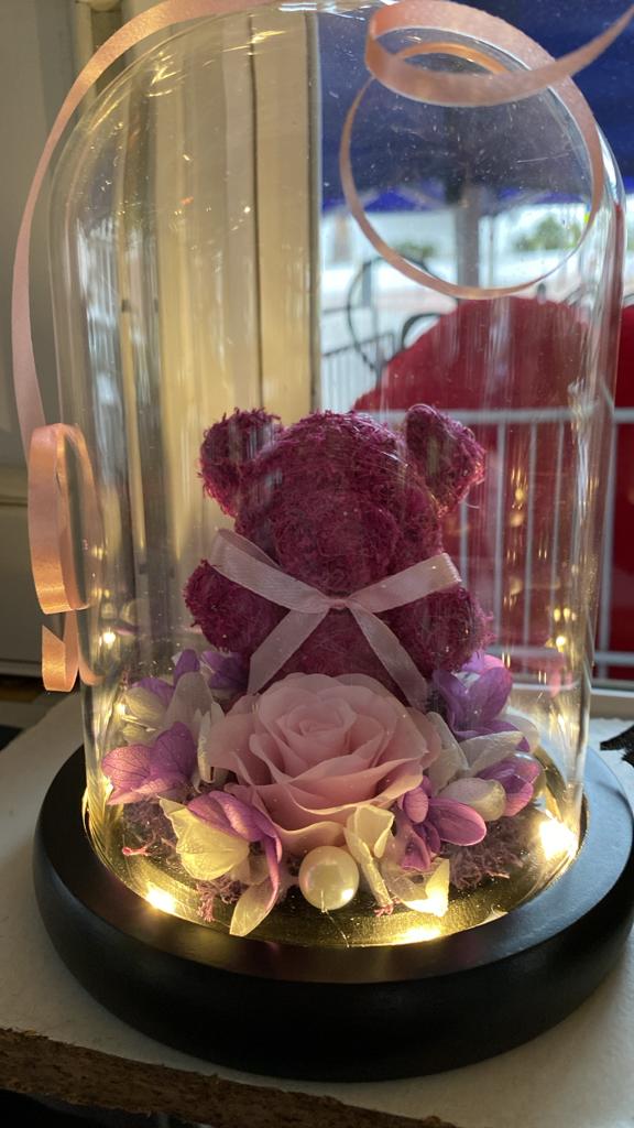 Cupula con oso violeta